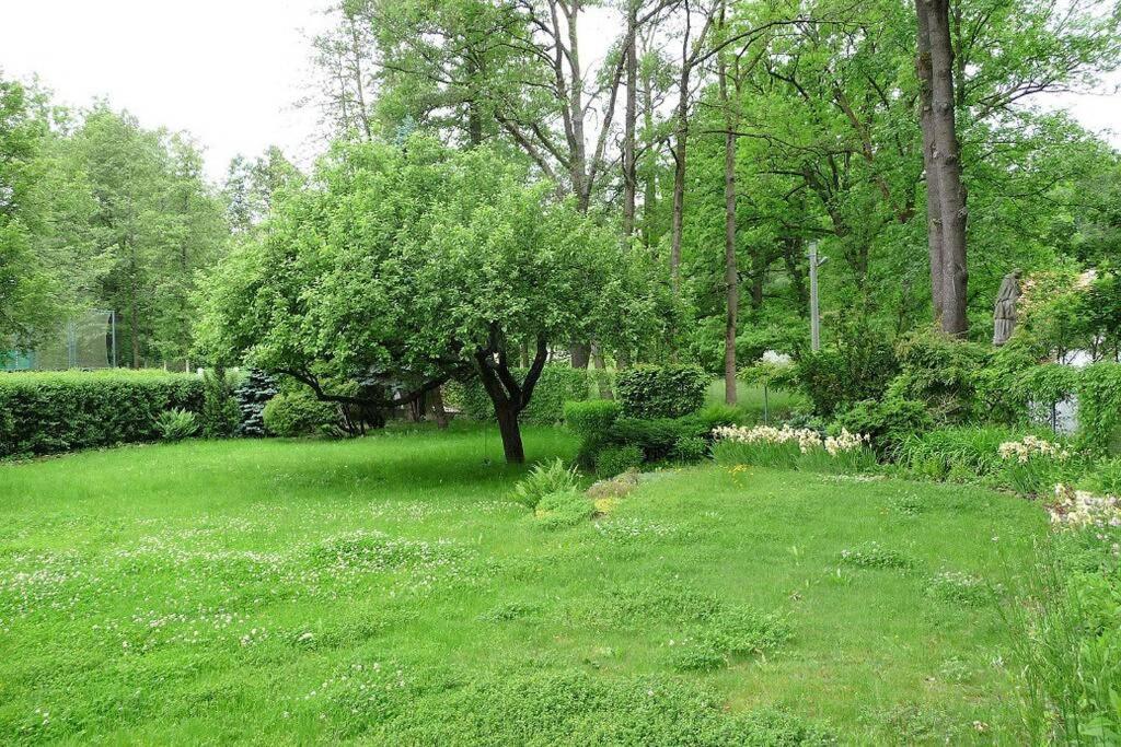 Chalupa U Kolcavy Volenice (Pribram) Exterior foto